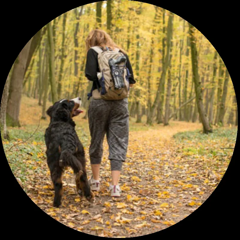 Woman walking with her dog on a country road