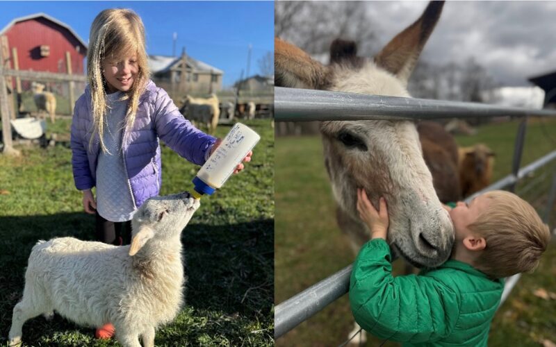 Kids playing with animals in the farm