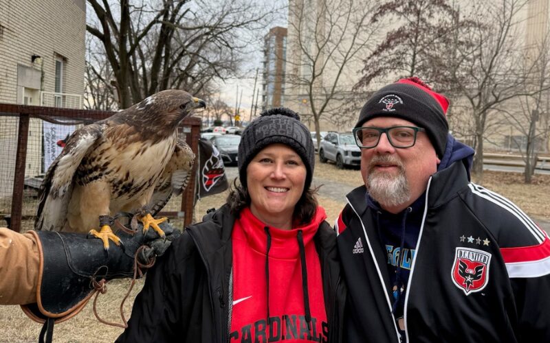 Smiling couple posing with a hawk