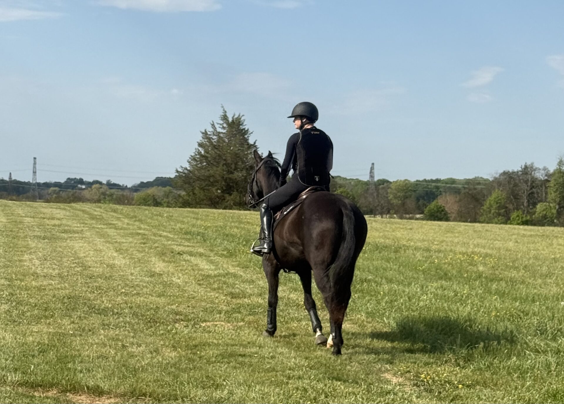 horseback riding in an open field