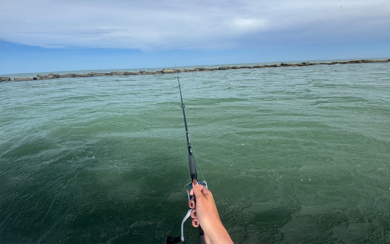Woman holding a fishing rod over green water